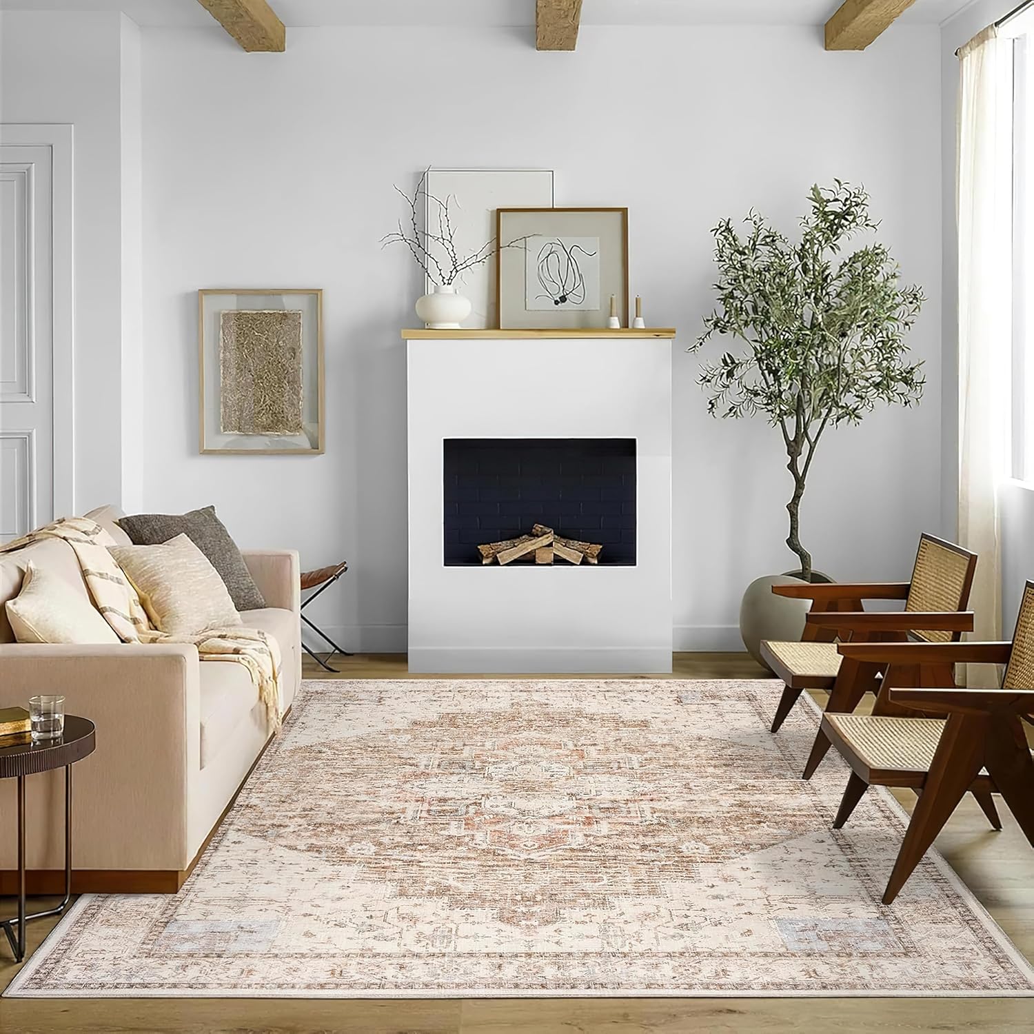 BILEEHOME Boho Neutral 5x7 washable area rug on Amazon